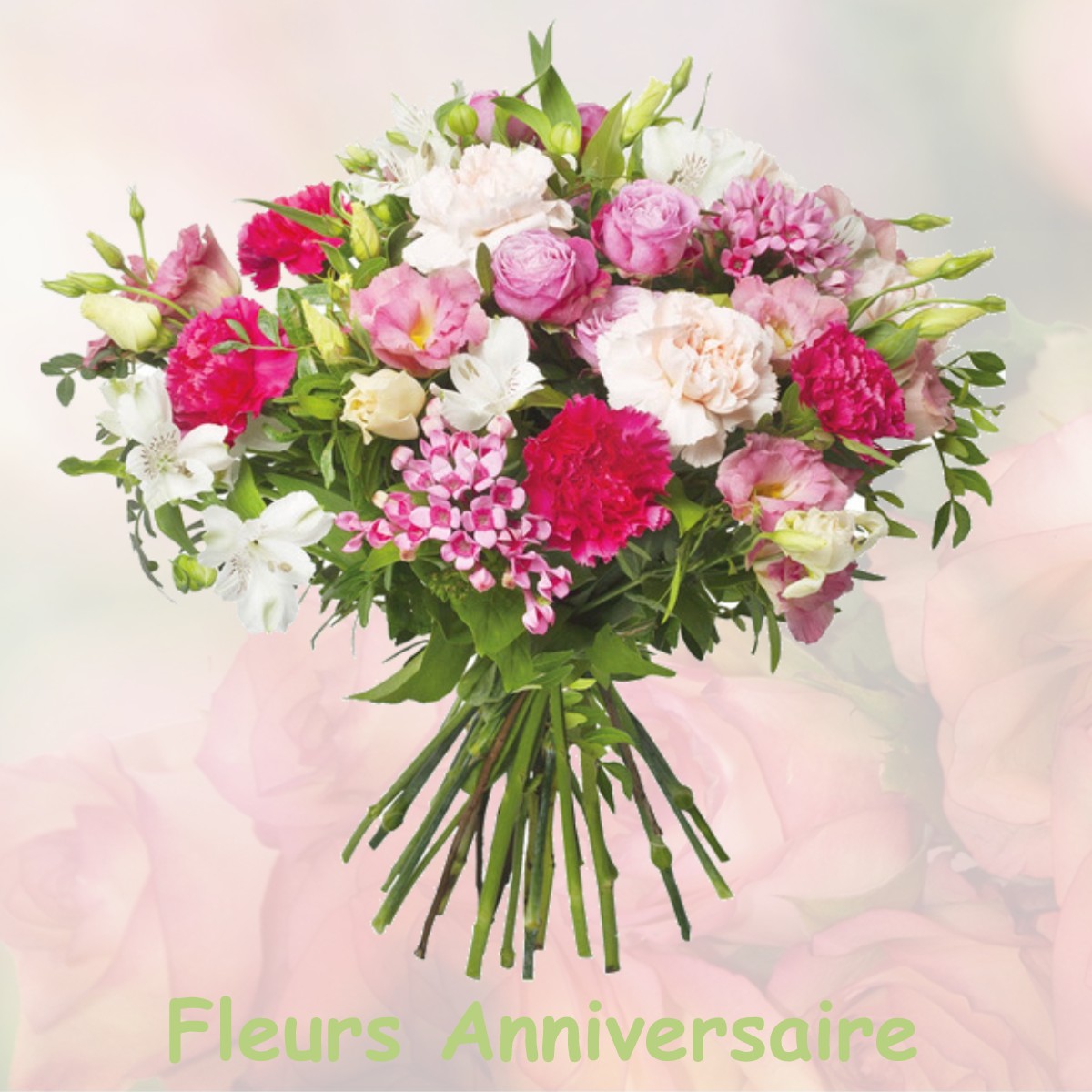 fleurs anniversaire ROMANSWILLER